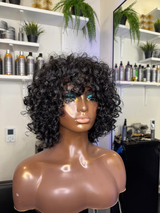 Diana (Raw Indian Curly, HD Lace Frontal,XS)