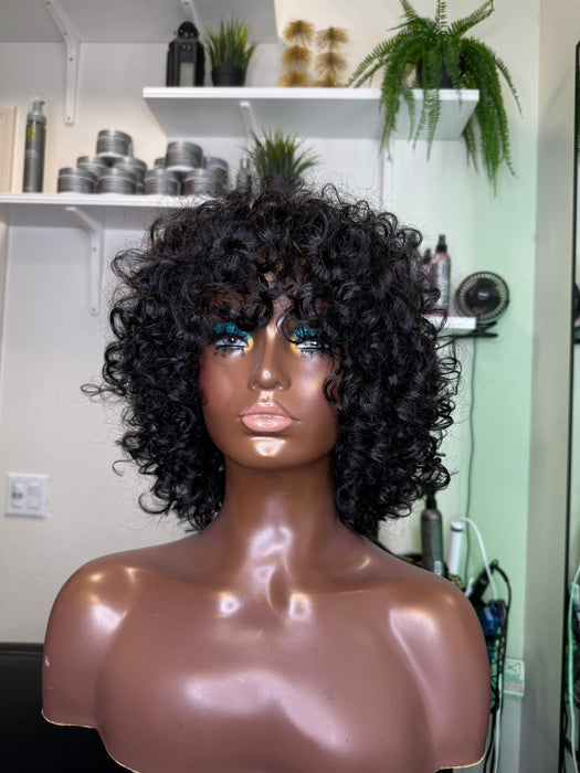 Diana (Raw Indian Curly, HD Lace Frontal,XS)